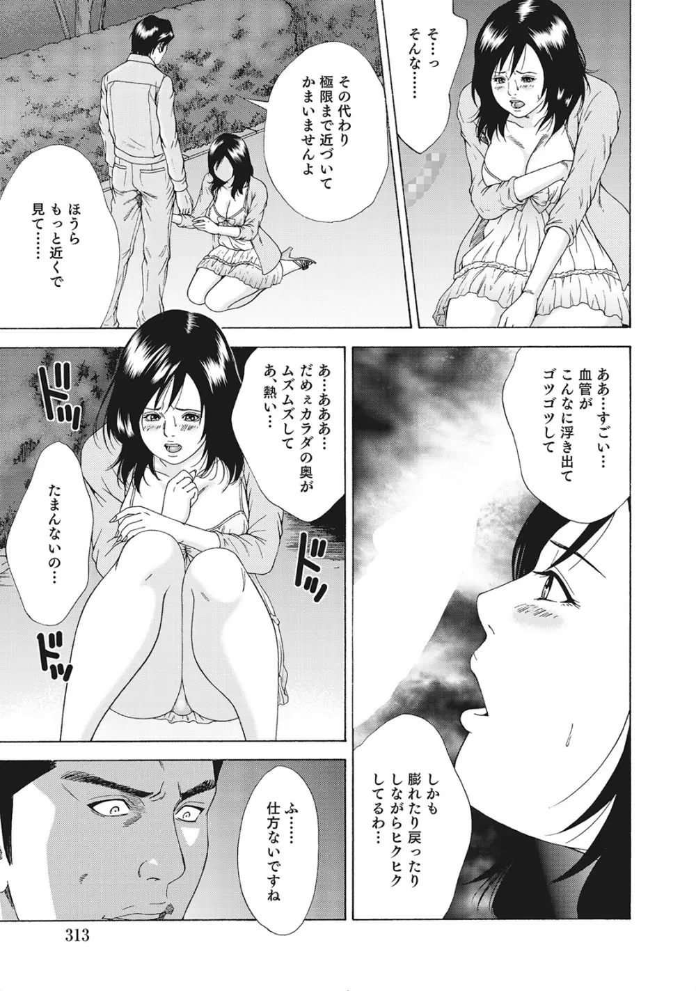 奥様たちは今日も欲求不満 Page.312
