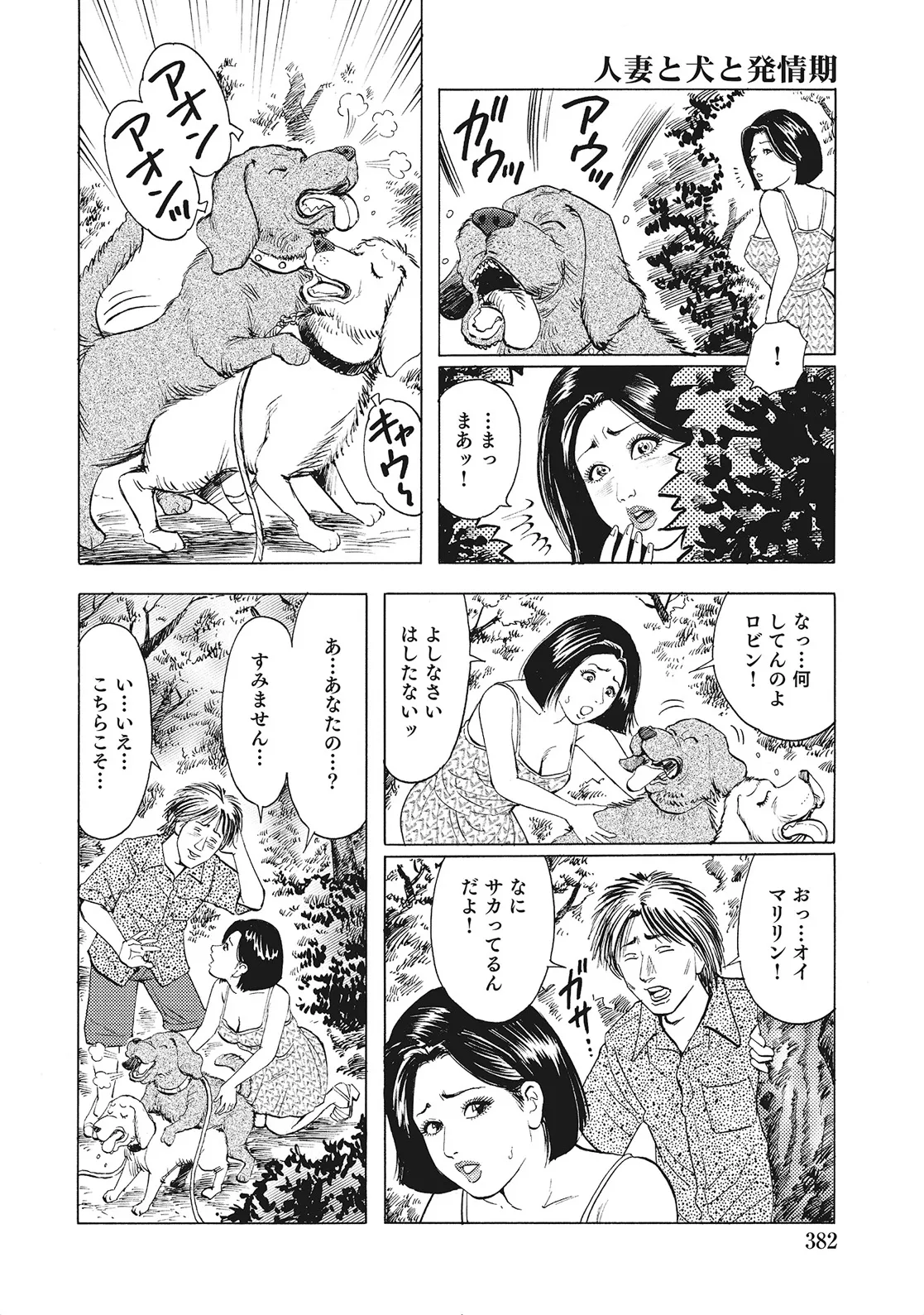 奥様たちは今日も欲求不満 Page.381