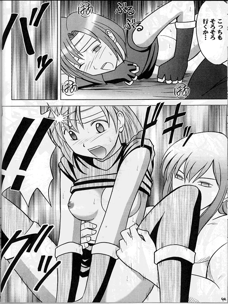 紋章のすべて Page.43