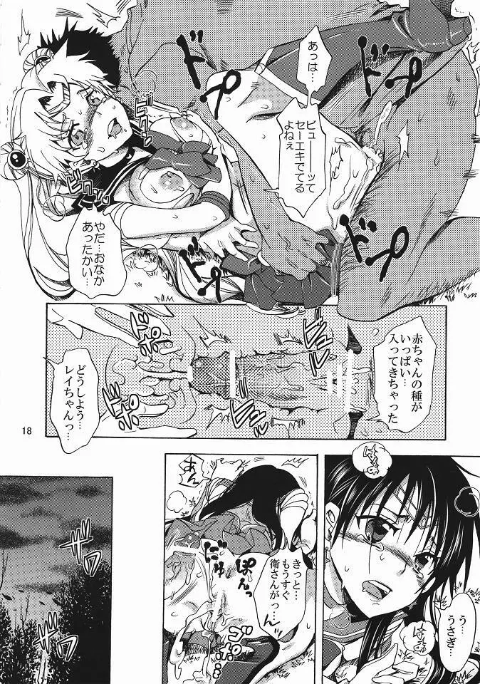 美少女戦士におしおき! Page.17