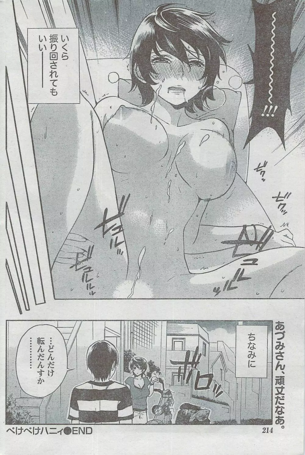 月刊 ビタマン 2008年8月号 Page.214