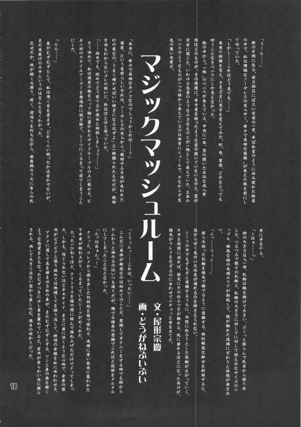 Amazone ~The First Impression~ Page.17