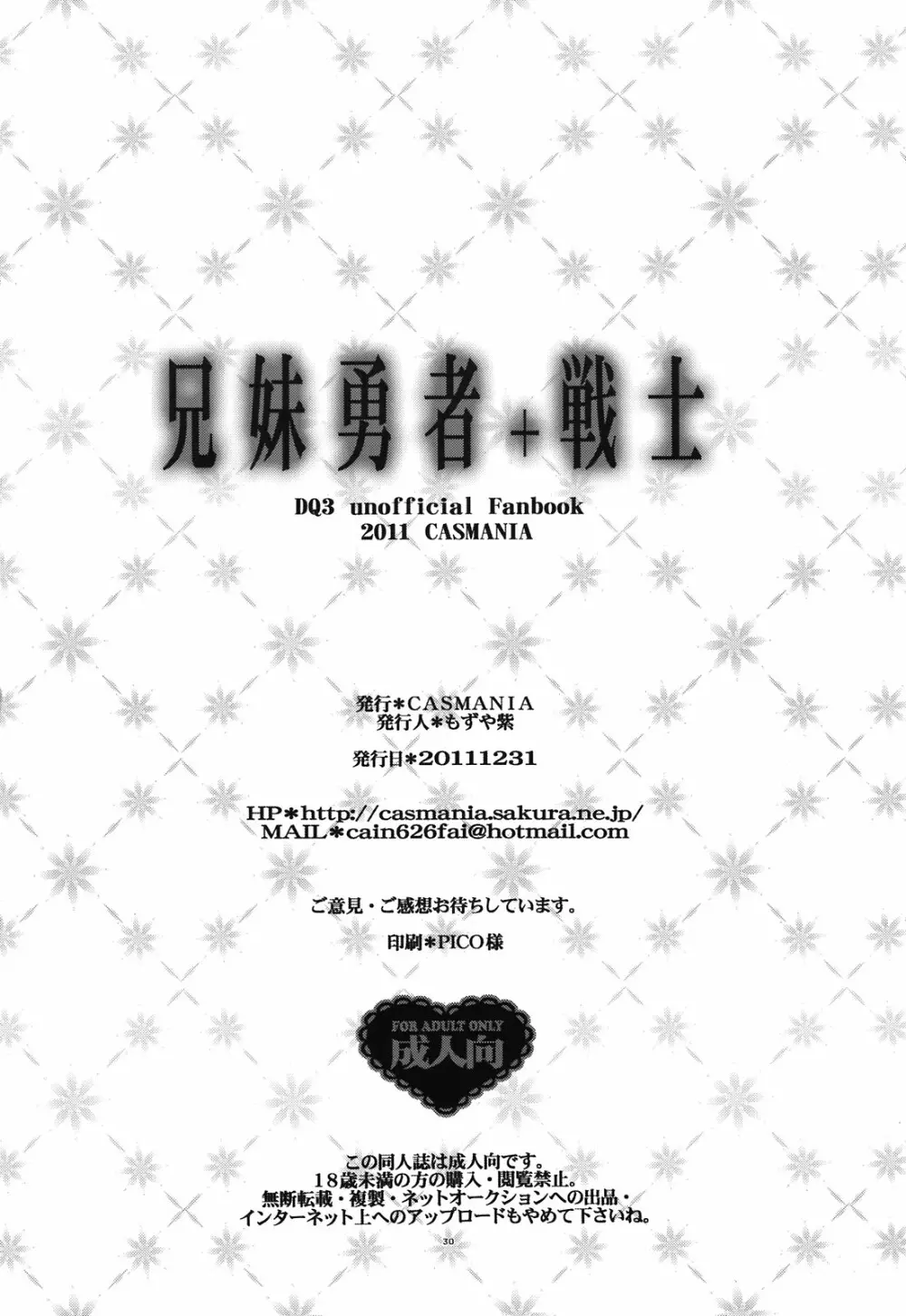 兄妹勇者+戦士 Page.30