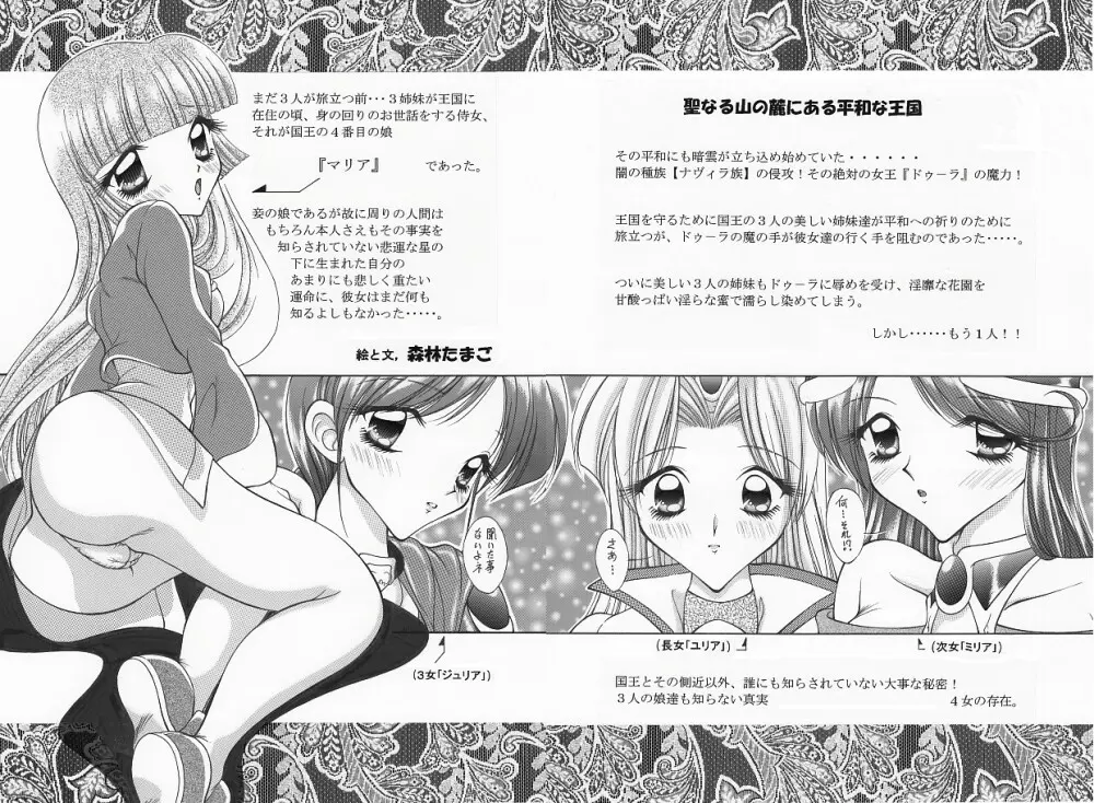 魔導の王国・淫辱の罠に堕ちる美姫 SIDE:B RJ093193 Page.27
