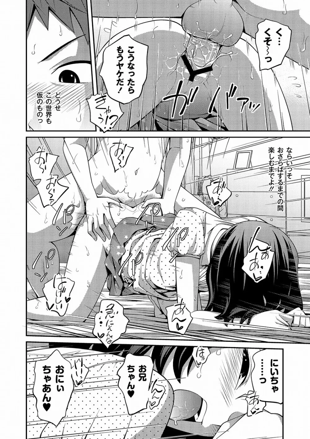 PLUM DX 10 Page.47