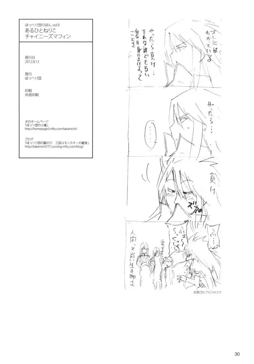 ほっへ!!団のほん vol.9 あるひとねりこ チャイニーズマフィン Page.28