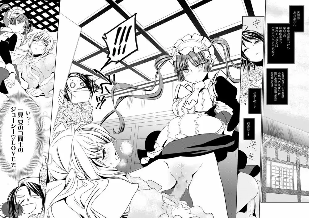 おとめのアレもさんど ~to try the patience of a Maiden~ Page.3