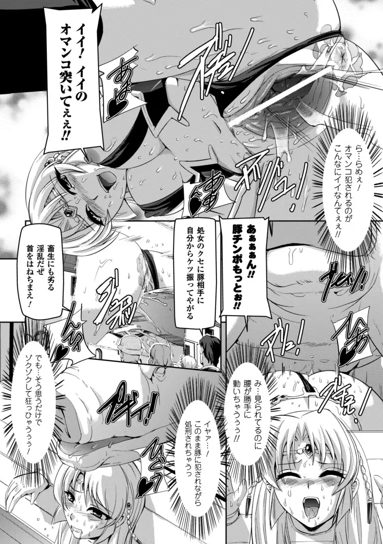 黒薔薇の騎士~聖帝ローザ~ Page.117