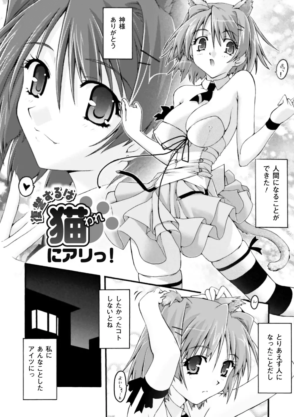復讐するは猫にアリっ! Page.6