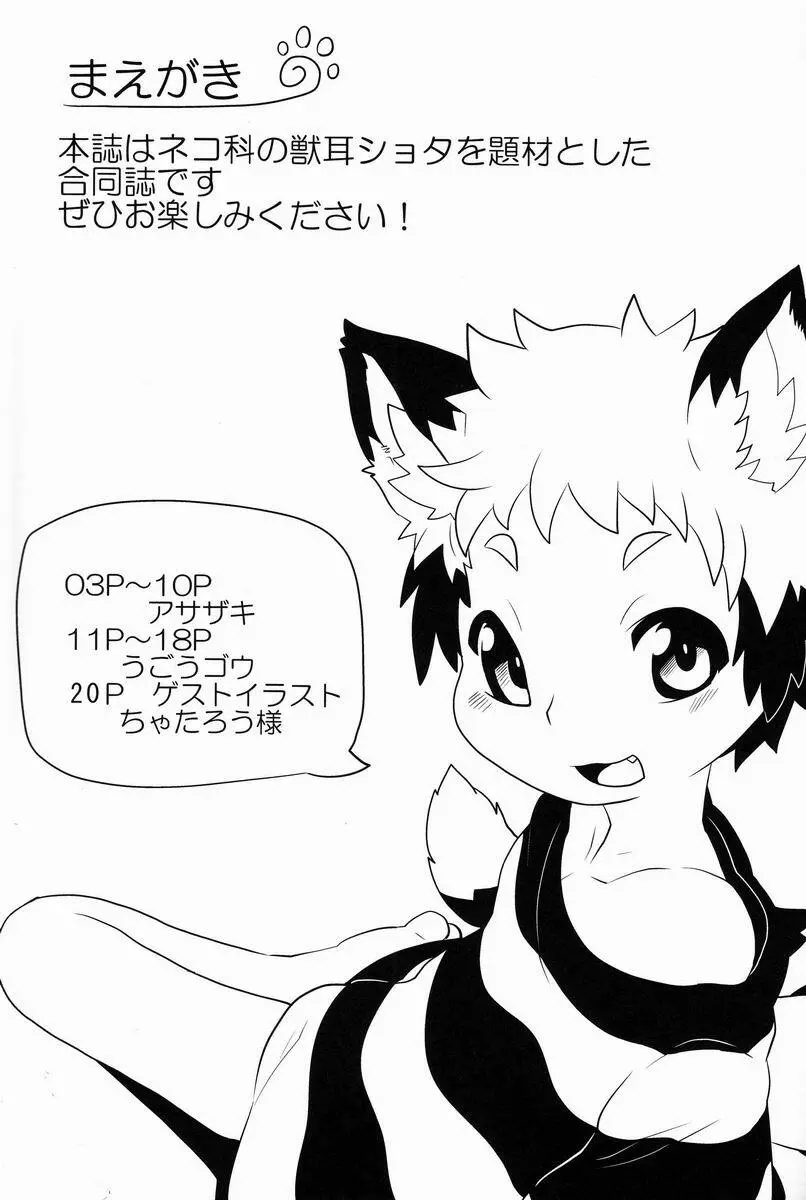 にゃんふぇす Page.2