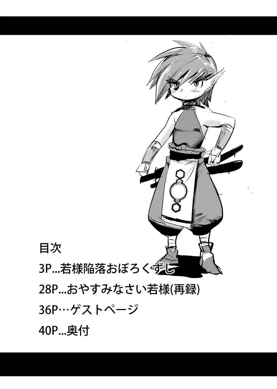 若様陥落おぼろくずし Page.3