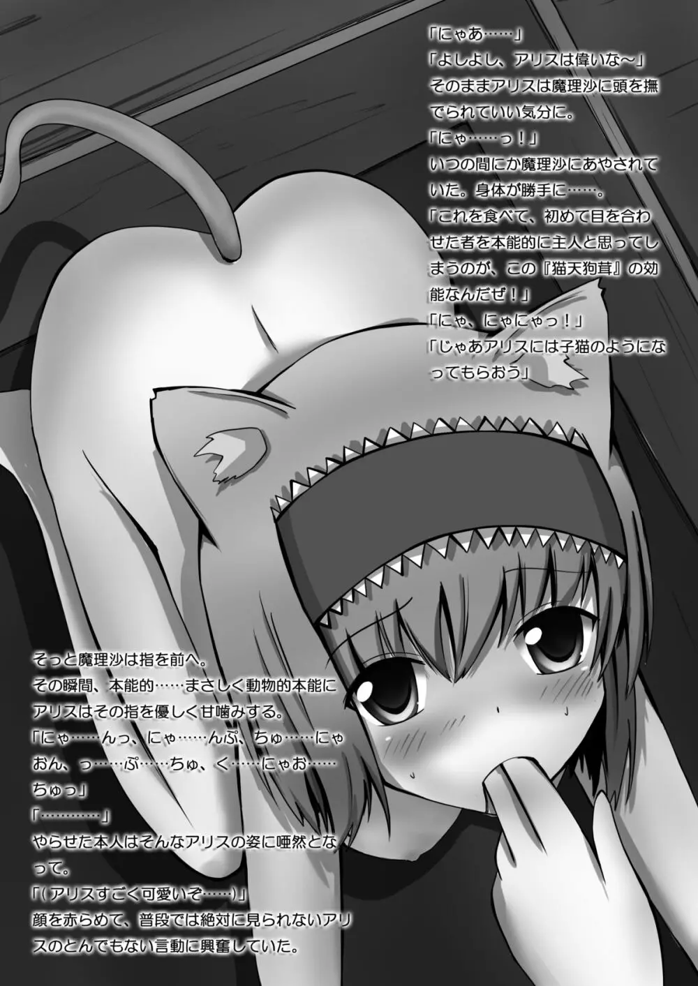 東方絵ろ本+ Page.36