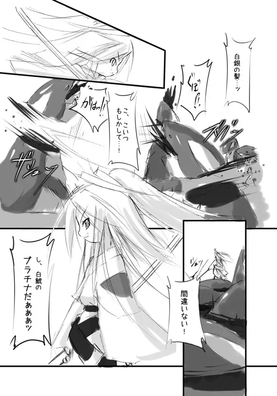 白鯱のプラチナ