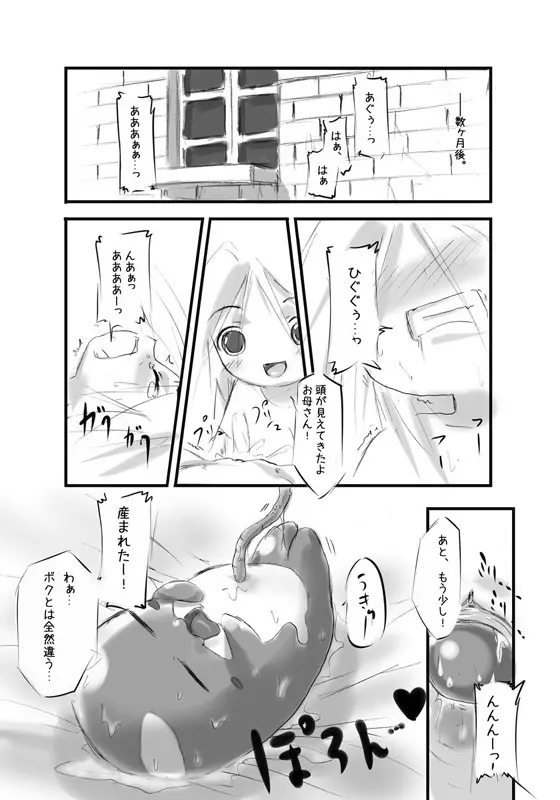 白鯱のプラチナ