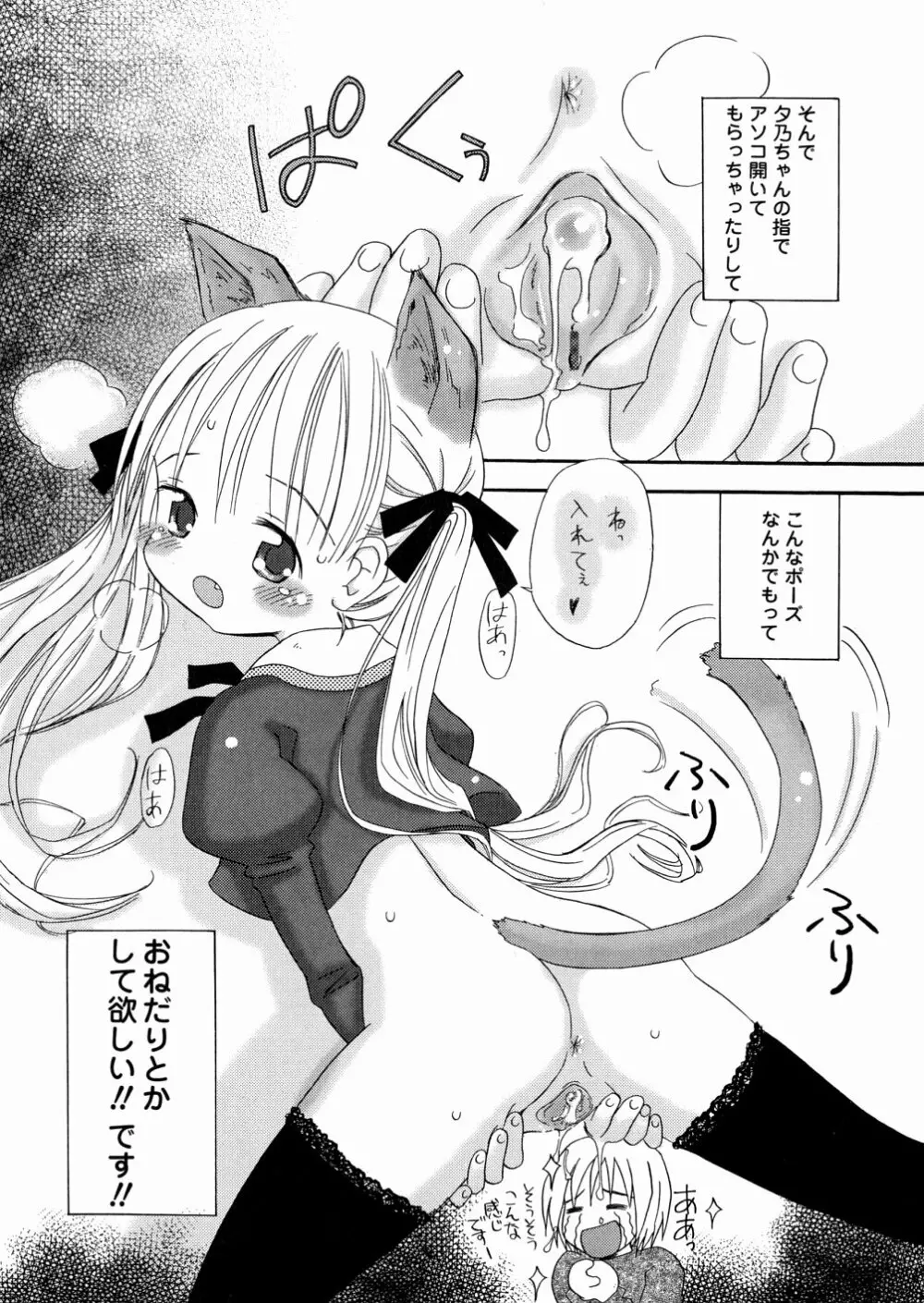 DREAM FITTER Page.16