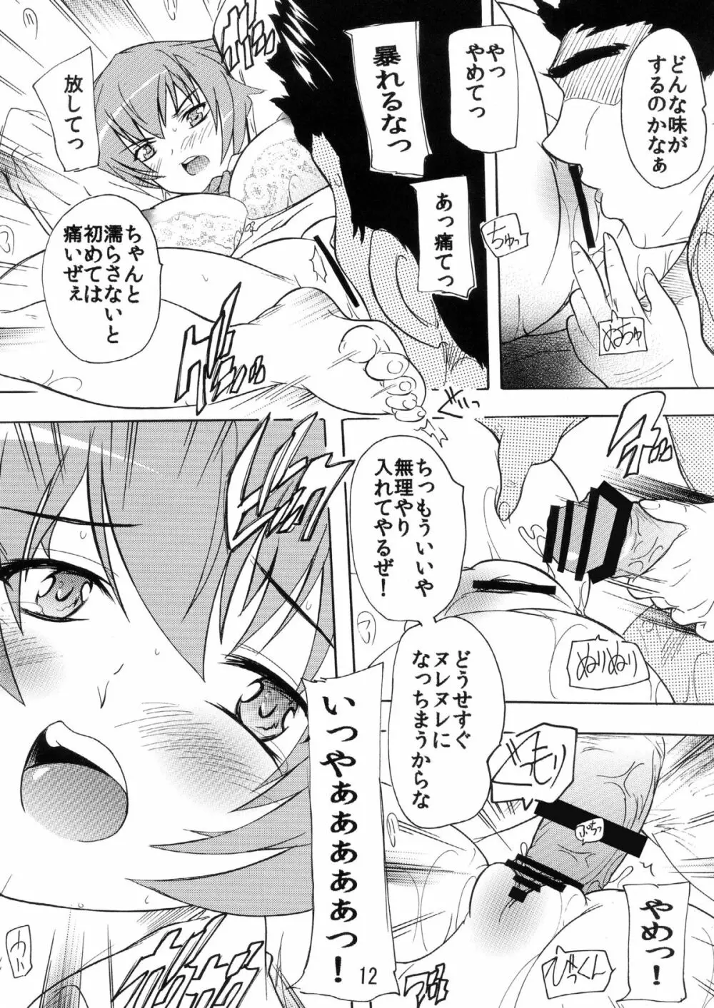 奴隷生徒会長~楯無~ Page.12