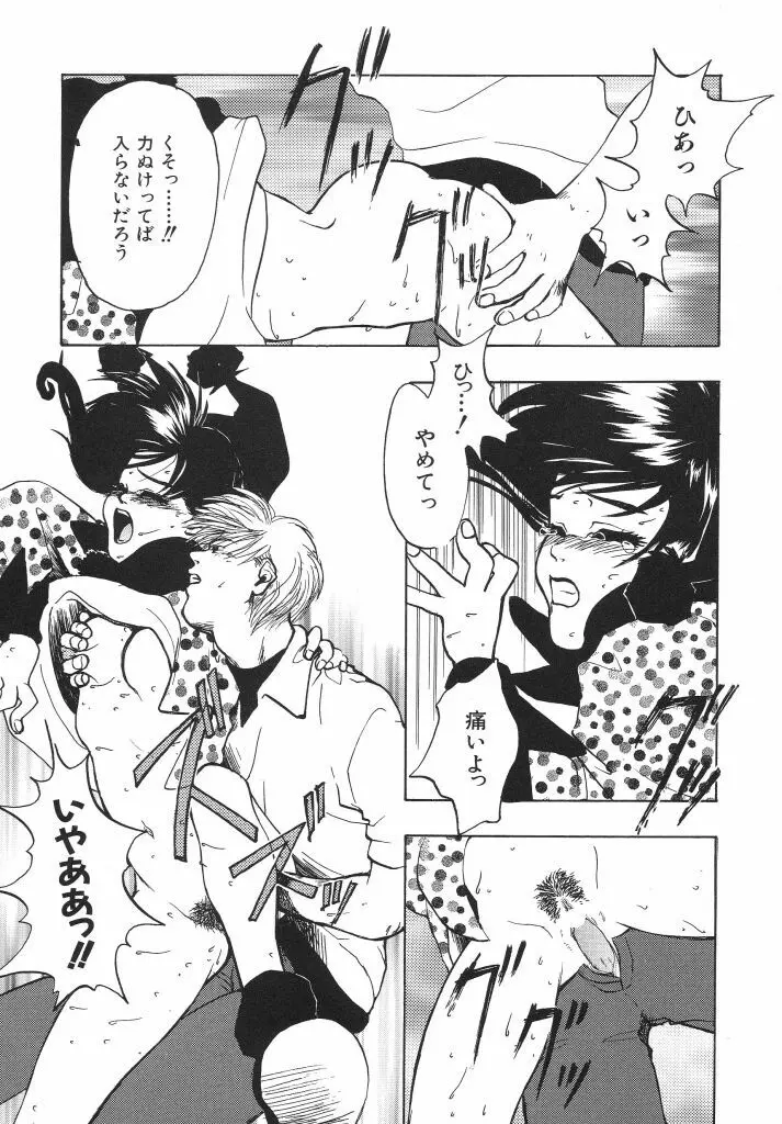色花乙女辞典 Page.93