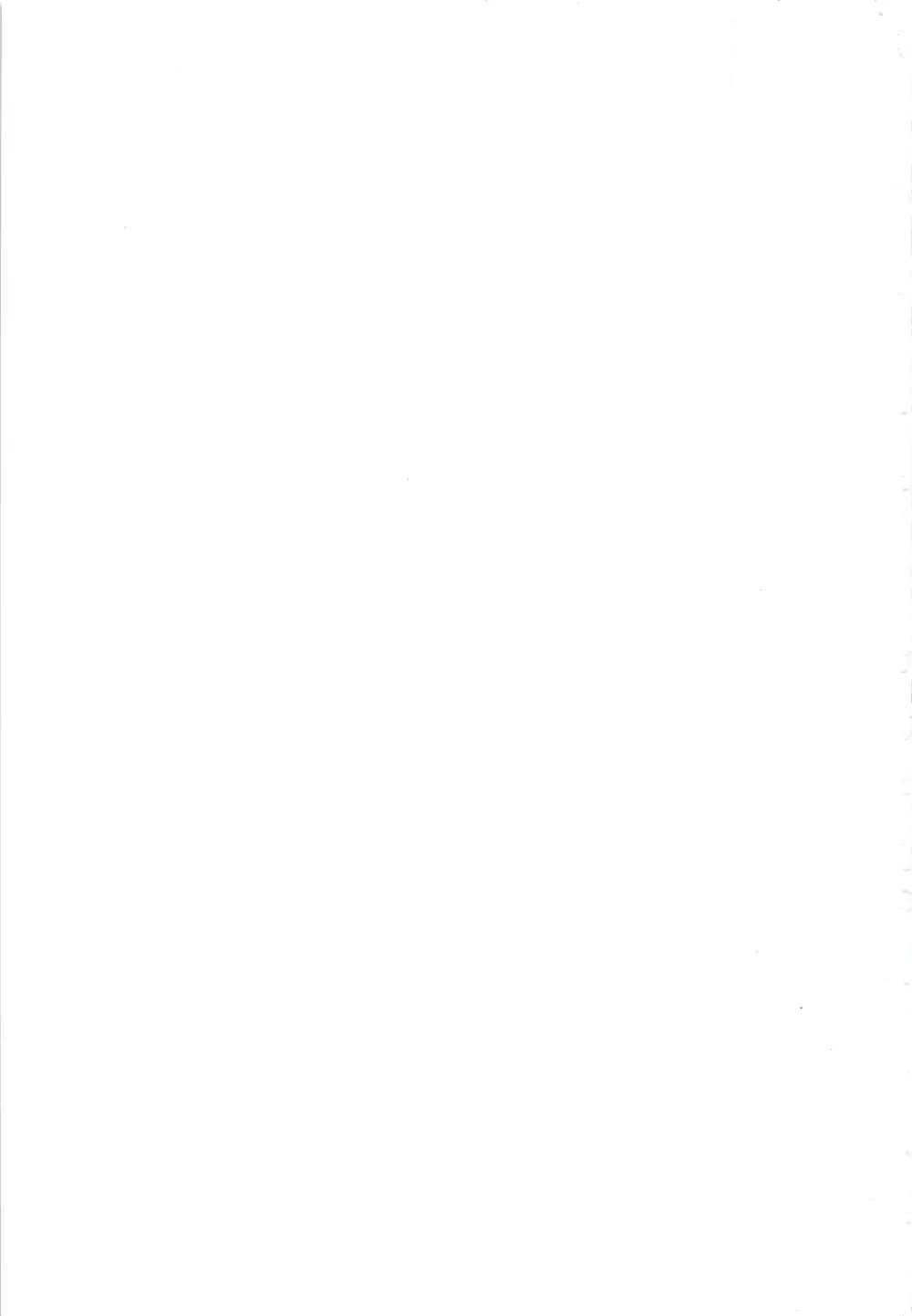 玉砕覚悟なまとめ本! -2013- Page.31