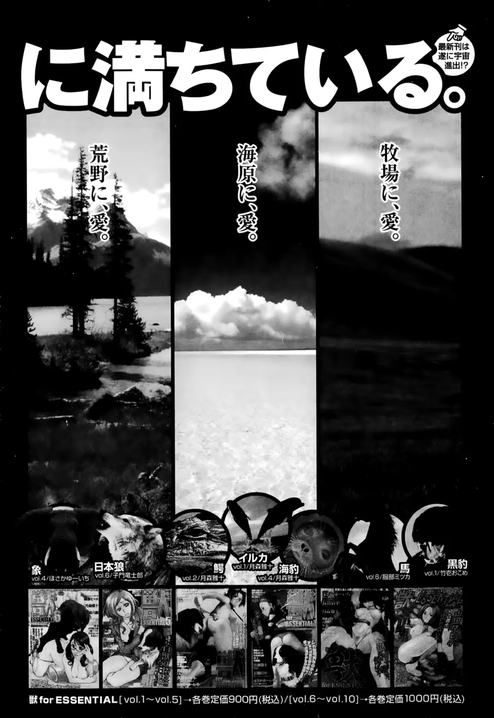 美少女革命 極 Road Vol.11 Page.88