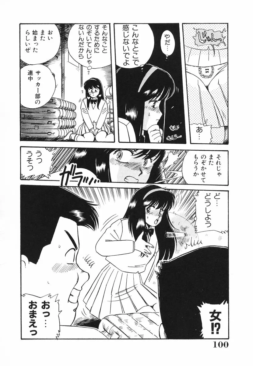 処女(おとめ)に祈りを Page.101