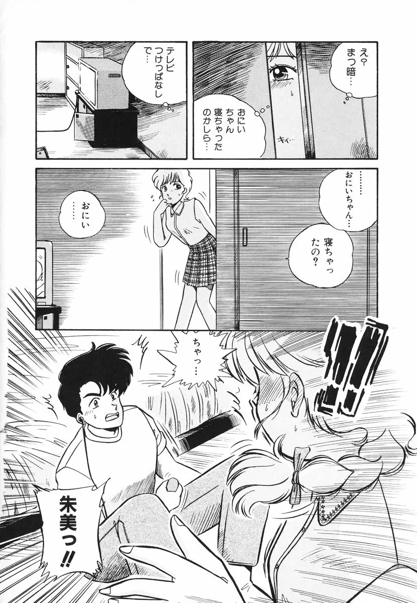 処女(おとめ)に祈りを Page.41