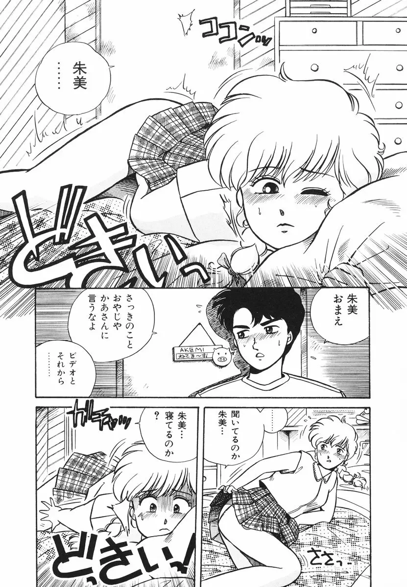 処女(おとめ)に祈りを Page.46