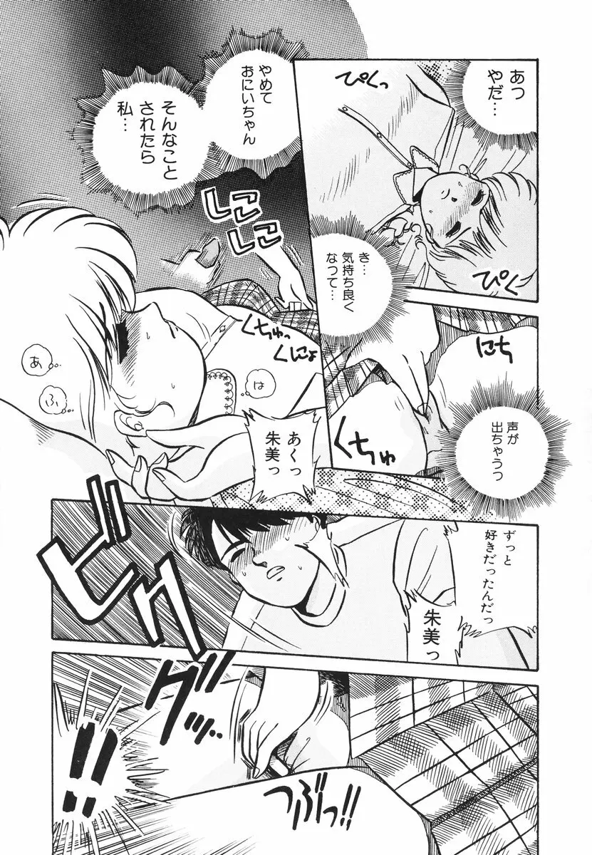 処女(おとめ)に祈りを Page.52