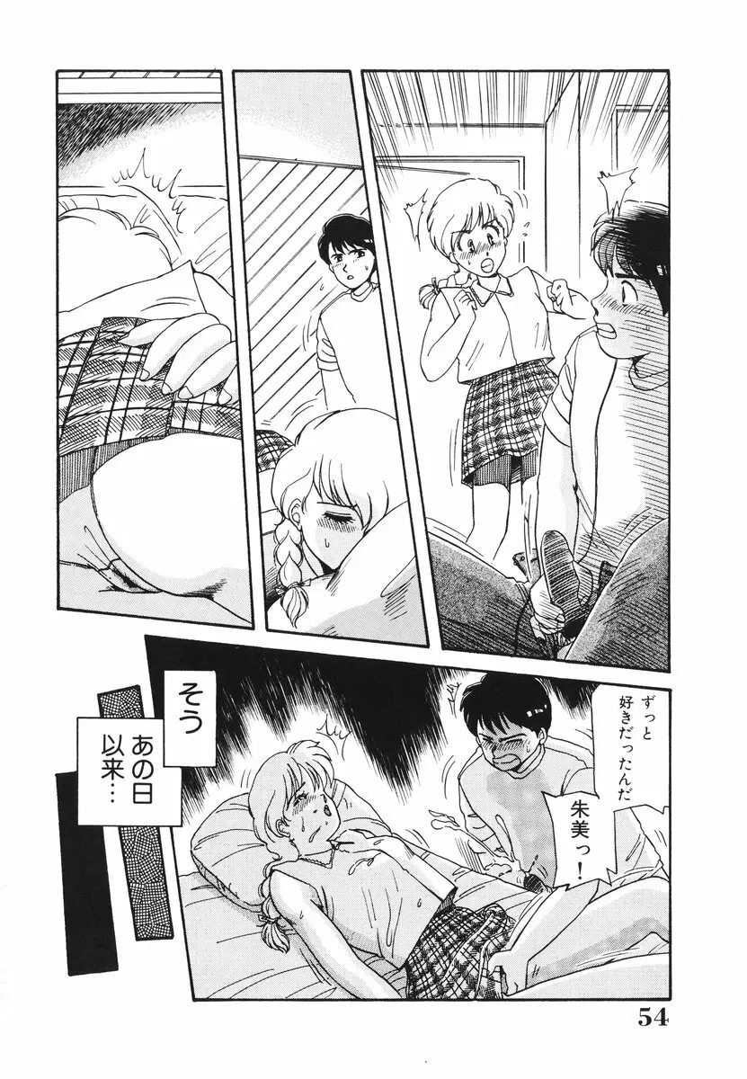 処女(おとめ)に祈りを Page.55