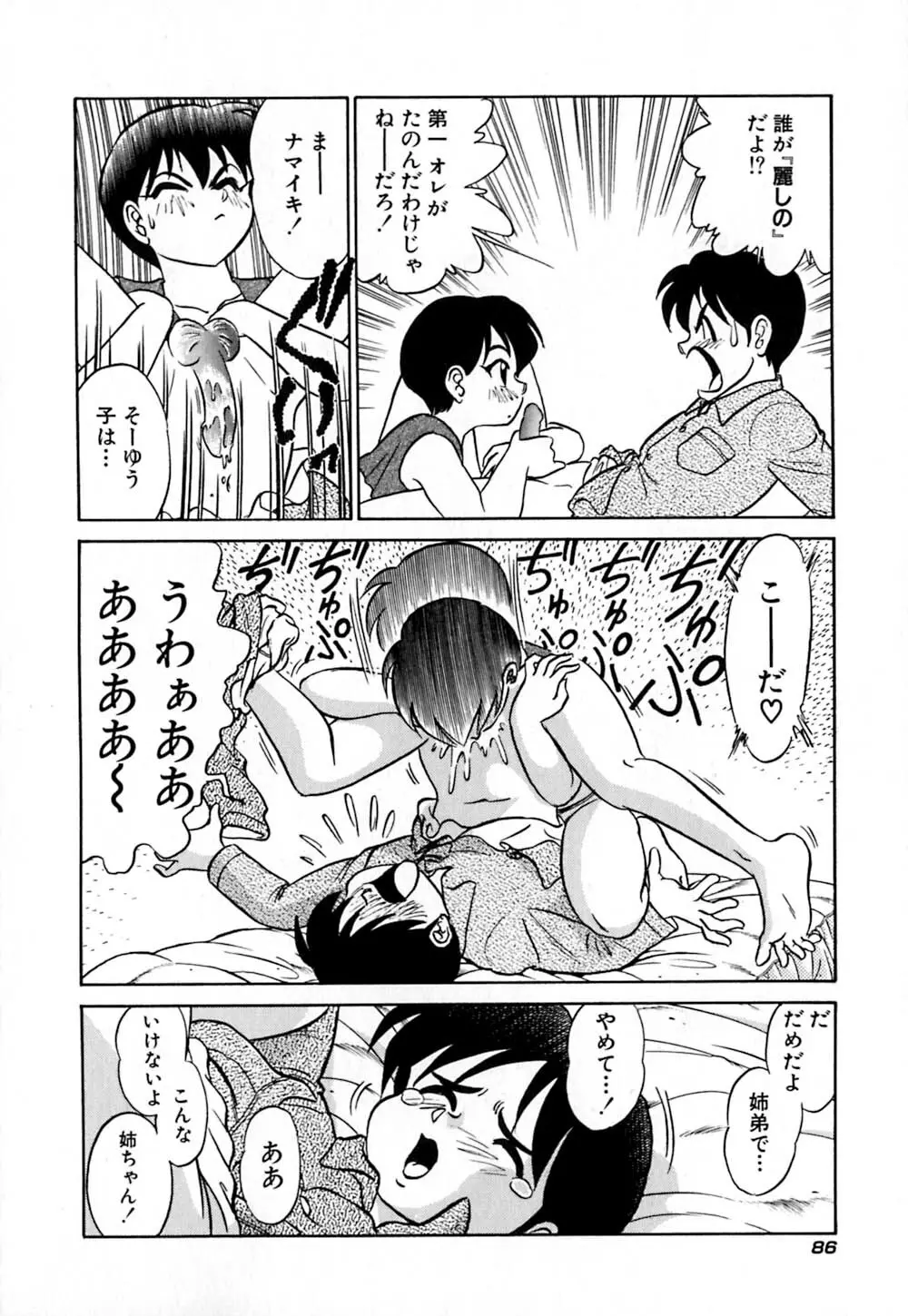 桃色物件(ピンクハウス) 第1巻 Page.91