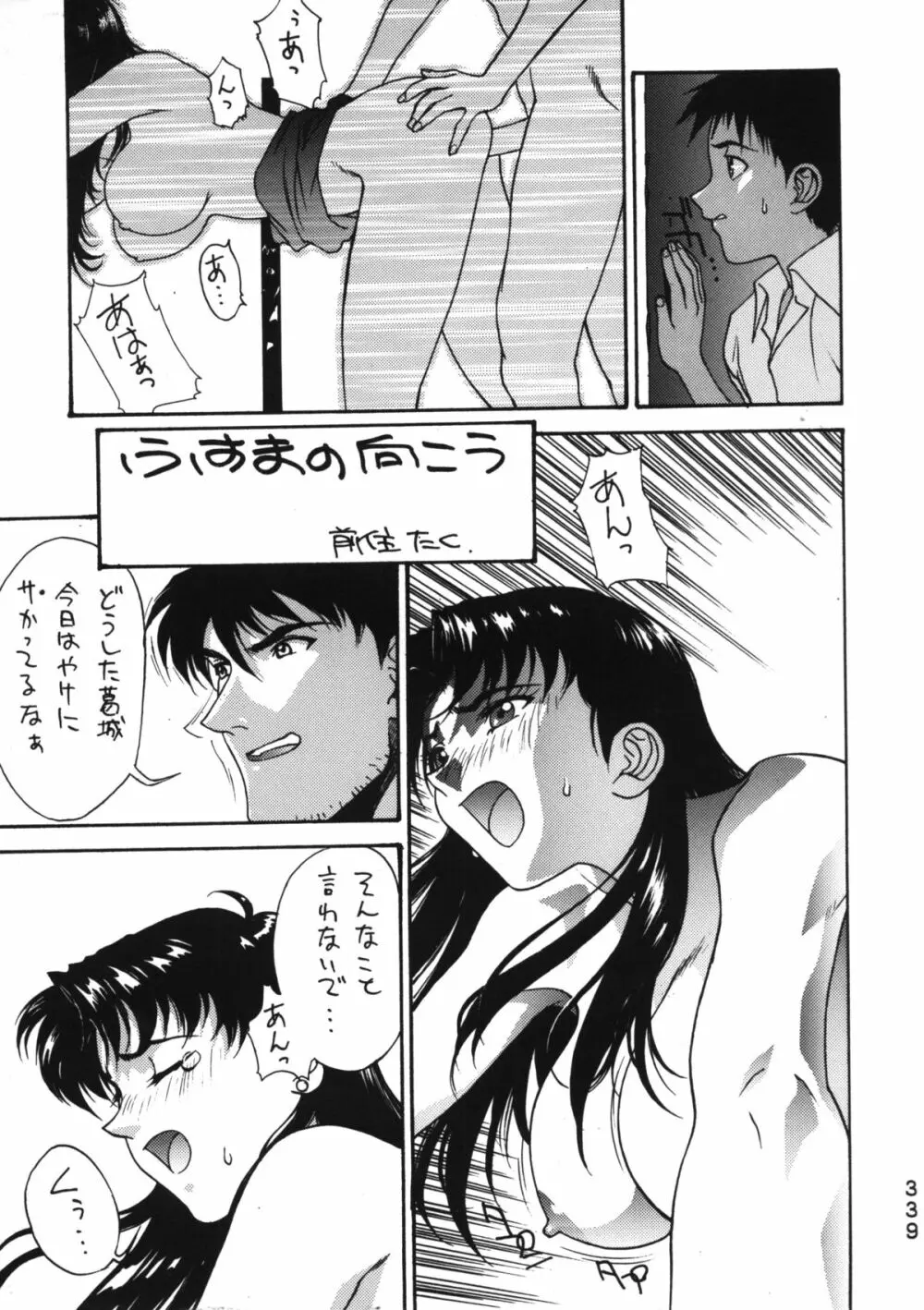 Katze 14 Page.337