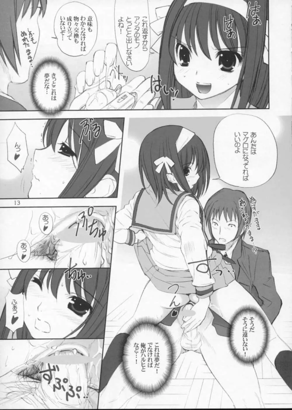 ROSEN RITTER Page.13