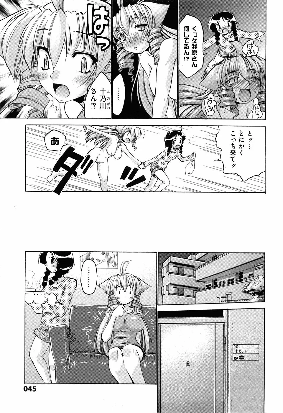COMIC XO 2008年5月号 Vol.24 Page.45
