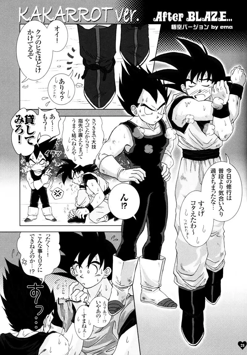 Sairokua Page.21