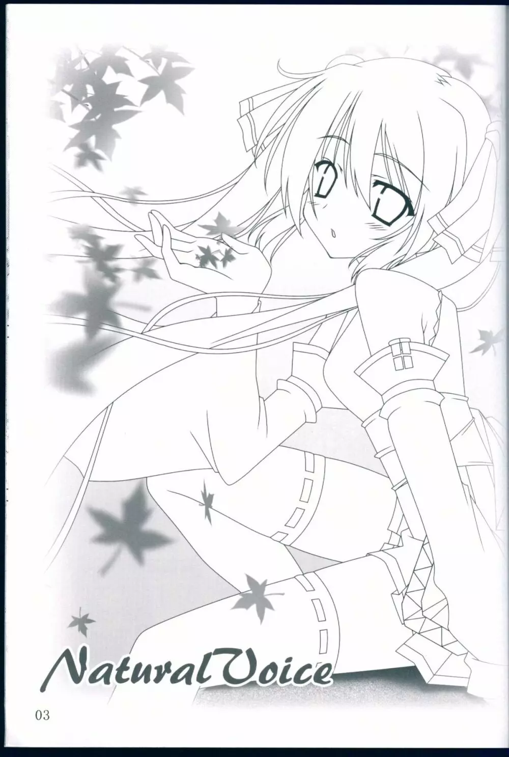 NaturalVoice Page.3