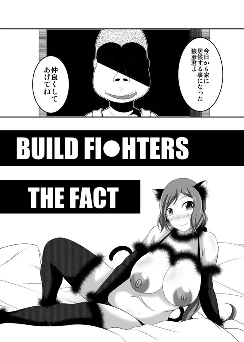 BUILD FI○HTERS THE FACT Page.3