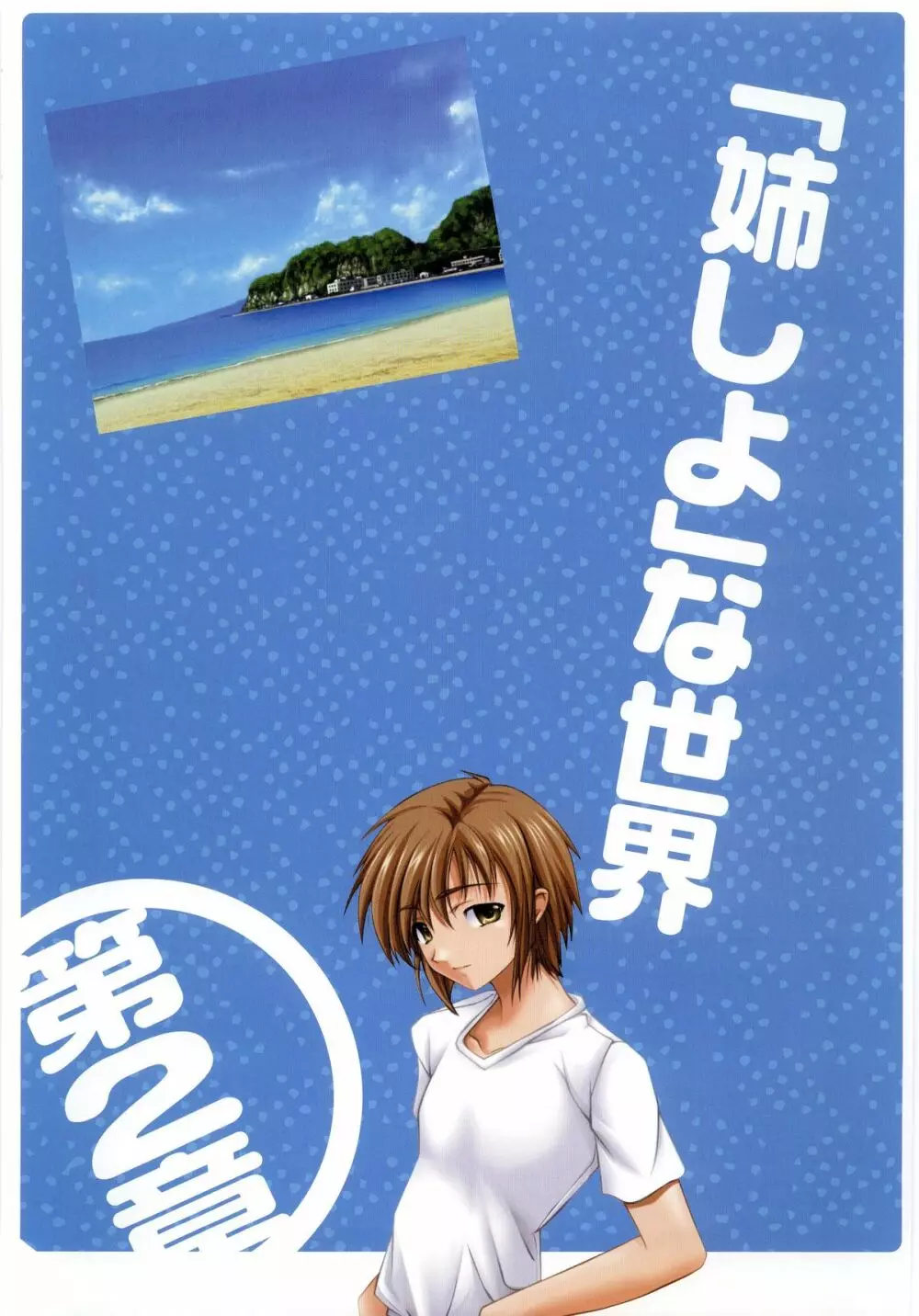 姉、ちゃんとしようよっ! 公式ファンブック 愛と罵倒の日々 Page.71