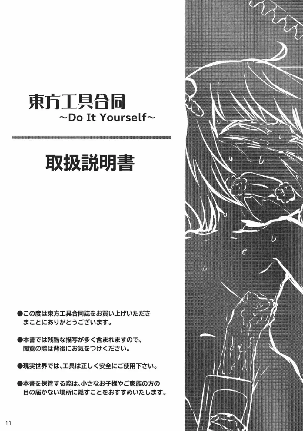 東方工具合同~Do It Yourself~ Page.10