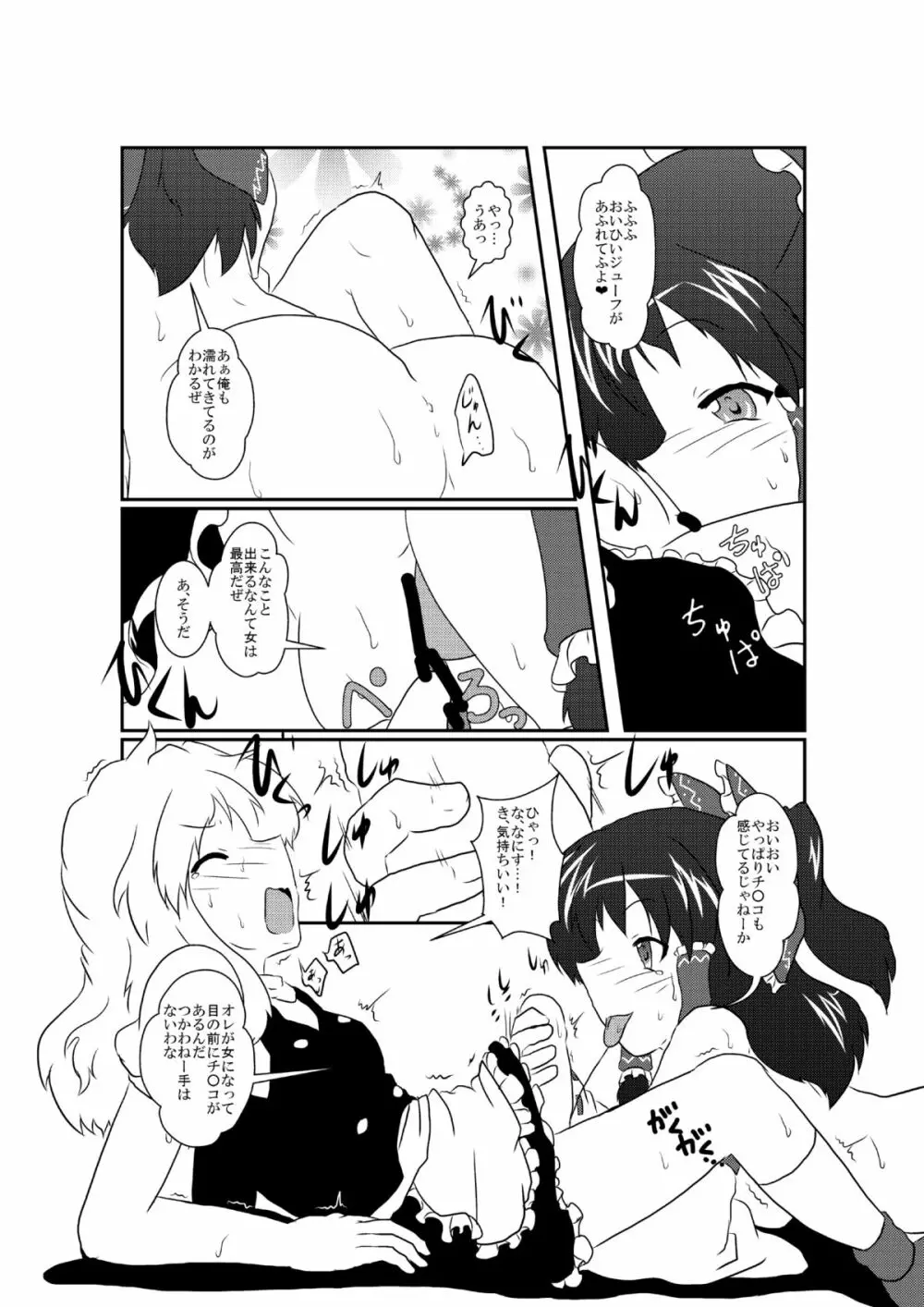 東方TS合同 〇〇が✖✖になったら Page.13