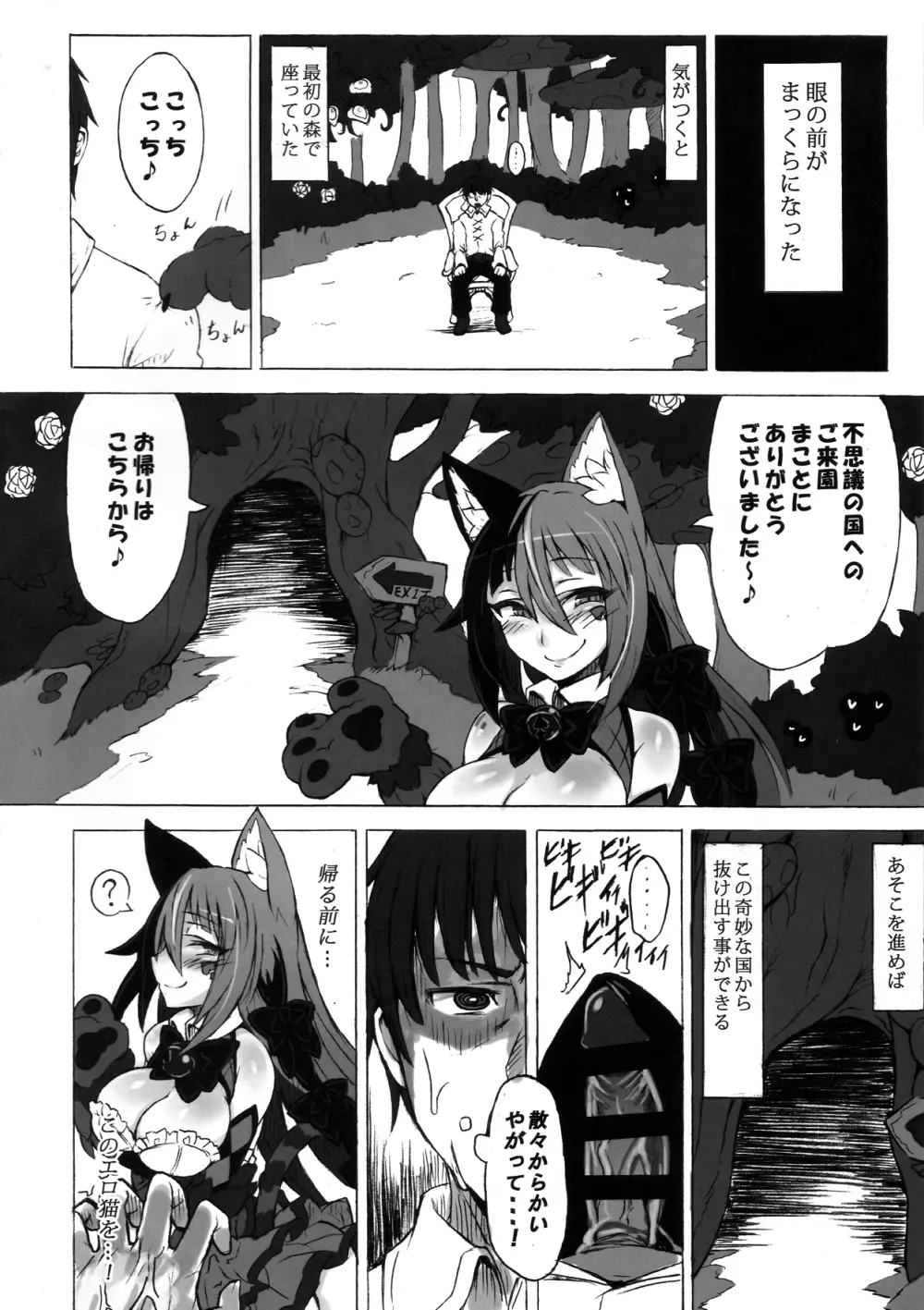 魔物娘図鑑・被害報告 ~チェシャ猫のおいでませ不思議の国~ Page.18