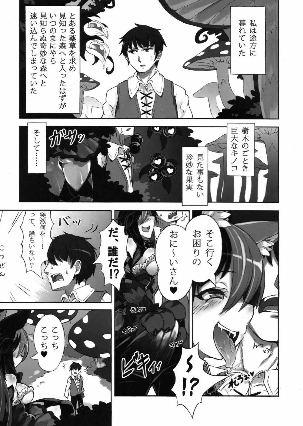 魔物娘図鑑・被害報告 ~チェシャ猫のおいでませ不思議の国~ Page.3