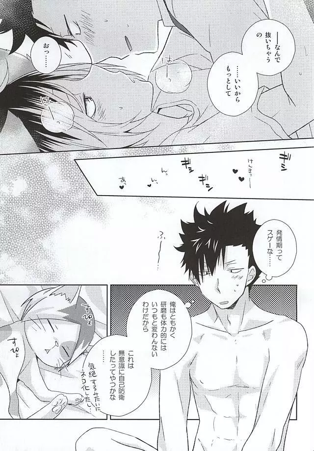 猫男一族の交尾レポート Page.40